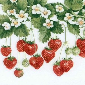 Meet your Posher, Yazmine